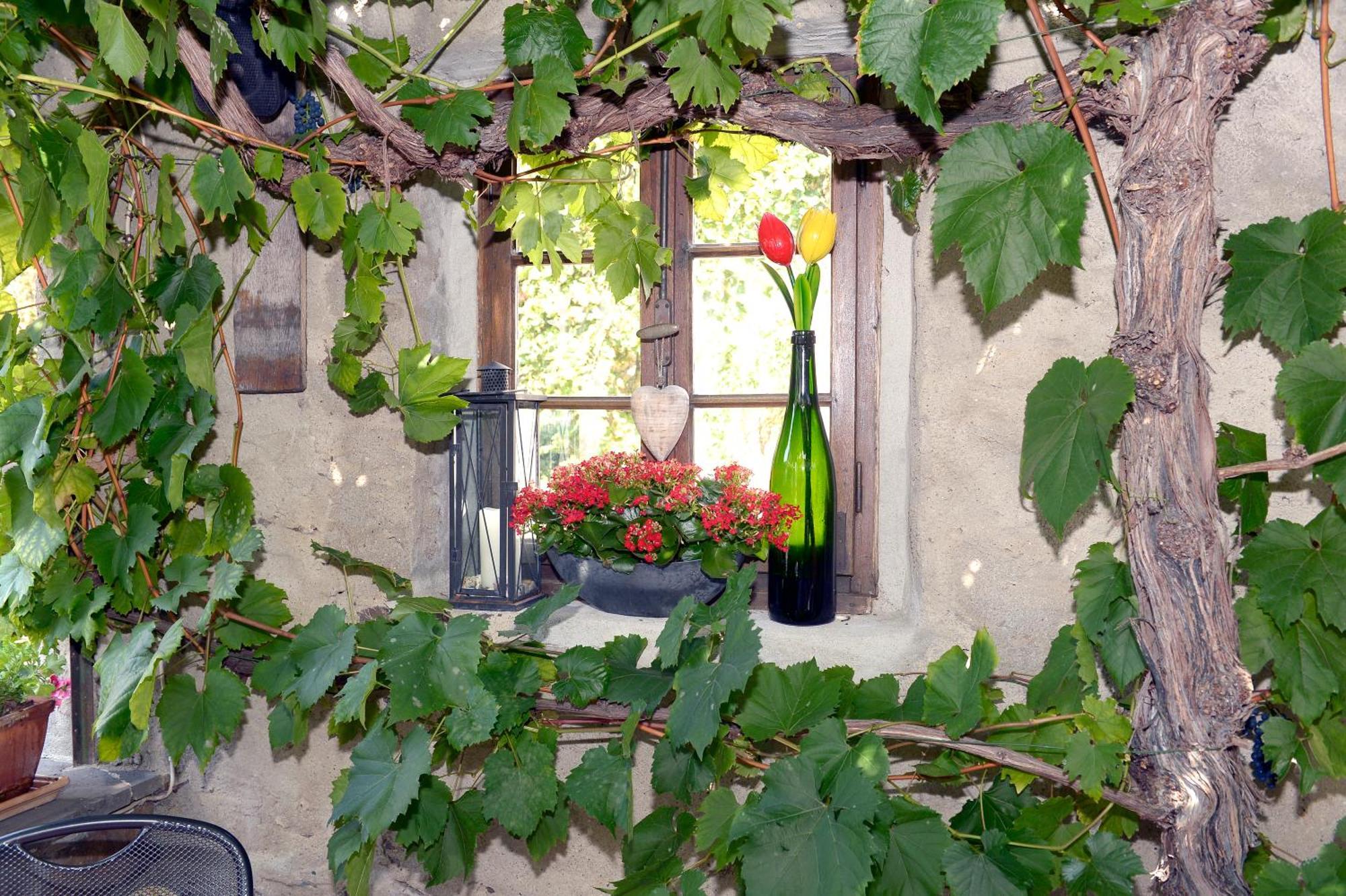 Wein- Und Gaestehaus M. Bai Мизених Екстериор снимка